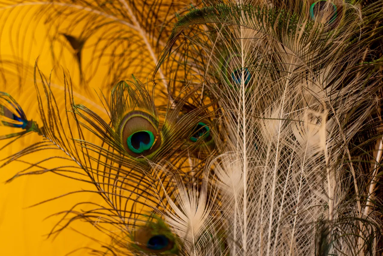 Energieanwendung zur Harmonisierung der Chakren